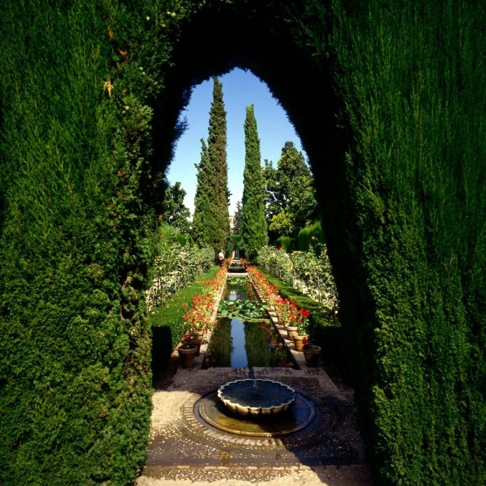 Vista lateral de la Alhambra desde la zona del Generalife